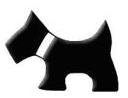 Enseñanaza, Adiestramiento, Enseñanza canina, Adiestramiento canino, castelar, morón. ituzaingó, haedo, zona oeste